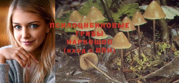 МДПВ Лихославль