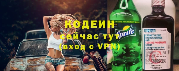 хмурый Мегион