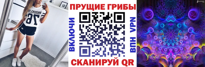 купить наркотик  Верхний Уфалей  Псилоцибиновые грибы мицелий 